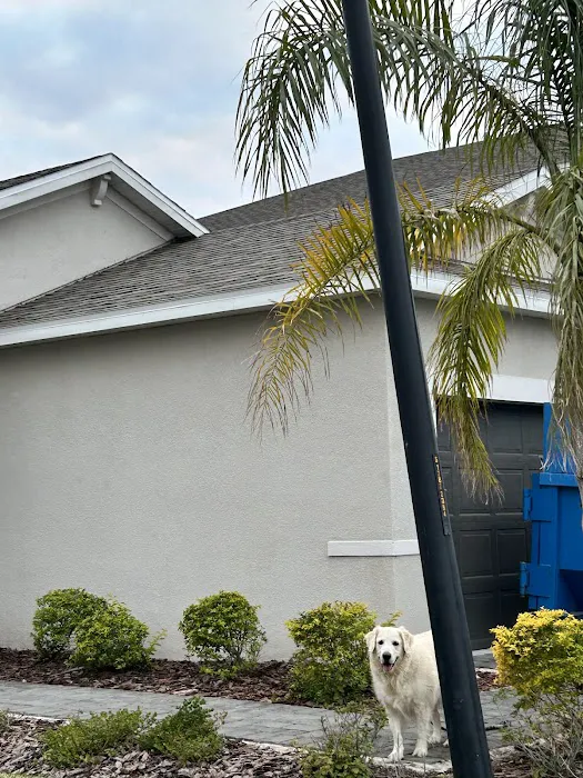 Storm Guard Roofing and Construction of Sarasota Picture 5