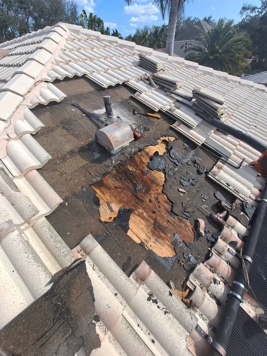 Gator Roofing, Inc. Picture 5