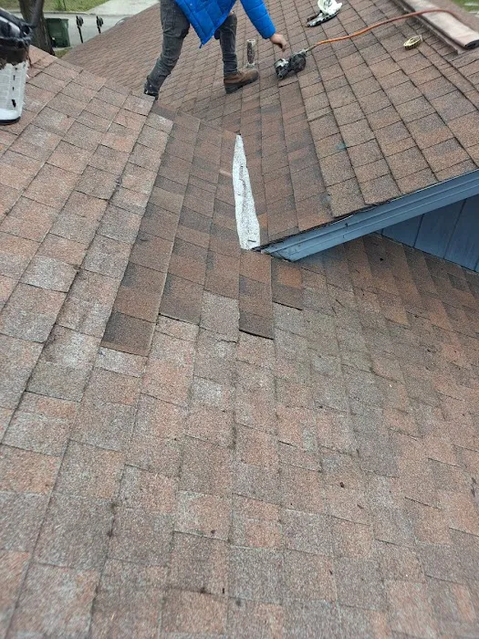 Gator Roofing, Inc. Picture 1