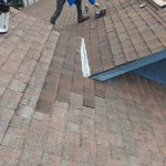 Gator Roofing, Inc.
