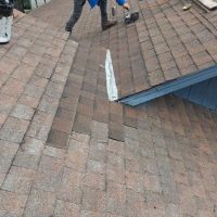 Gator Roofing, Inc. ico