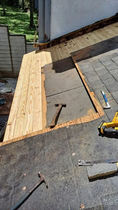 Gator Roofing, Inc. Picture 9