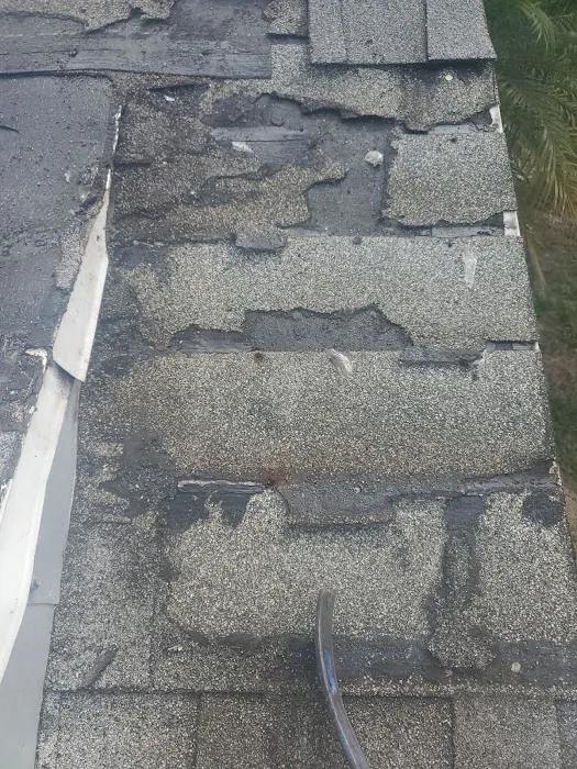 Total Roofing Contractors Picture 3