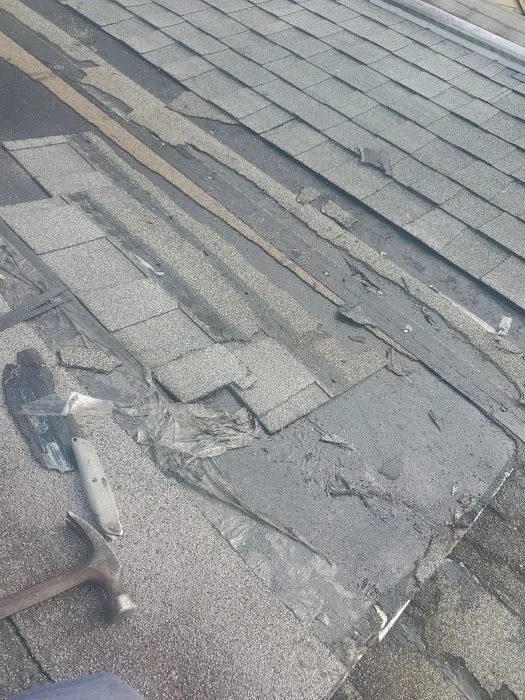 Total Roofing Contractors Picture 1