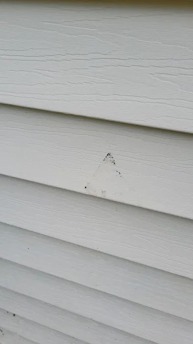 Gator Roofing Picture 3