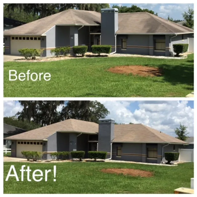 Haverty's Roof Cleaning Picture 5