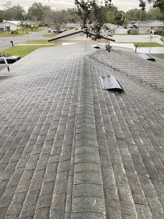 Haverty's Roof Cleaning Picture 2