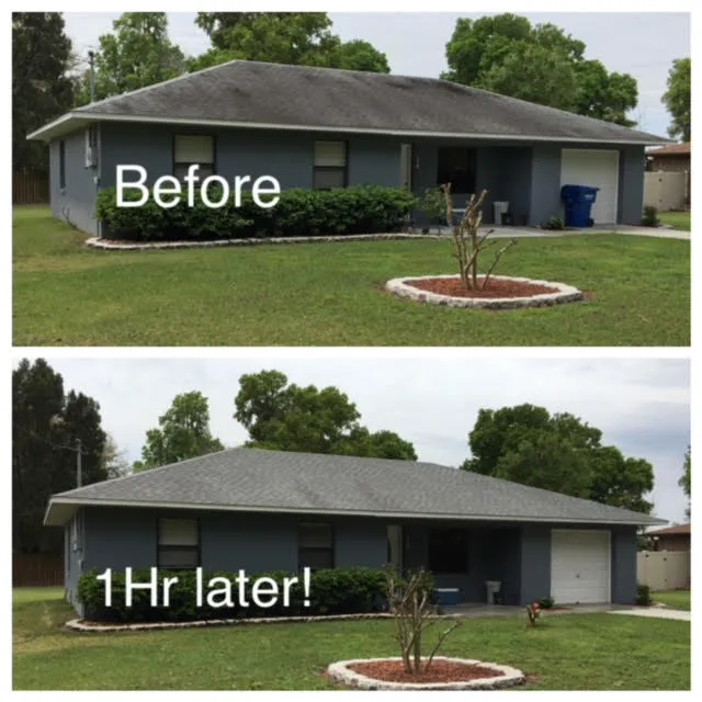 Haverty's Roof Cleaning Picture 7