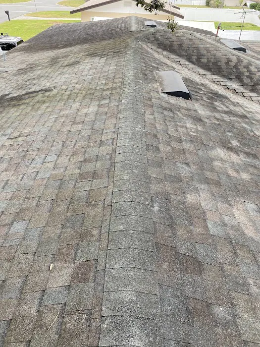 Haverty's Roof Cleaning Picture 9