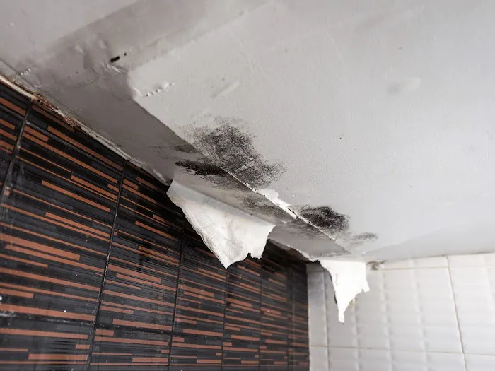 Roofing Contractors Lakeland Picture 8