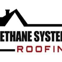 Urethane Systems Inc ico