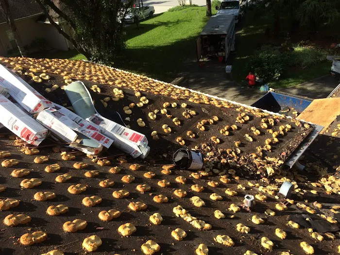 Handyman Roofing Picture 8