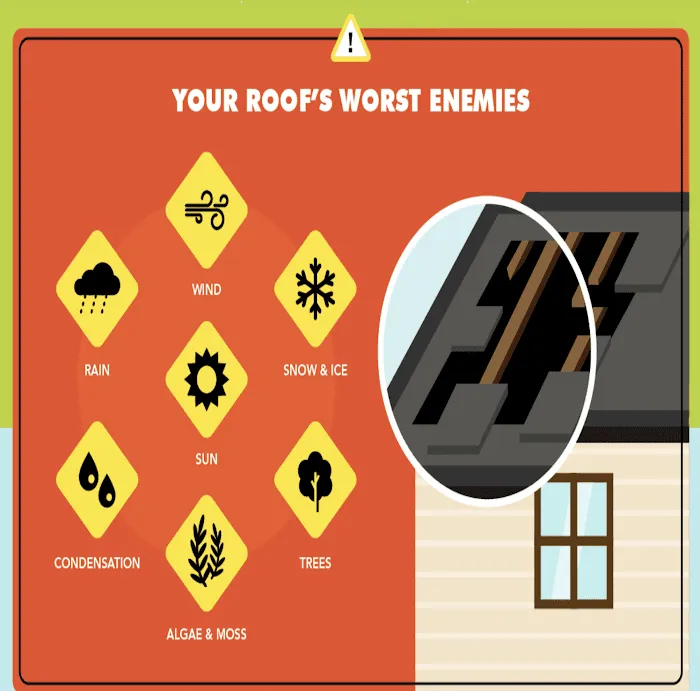 Lakeland Roofing Solutions Picture 9