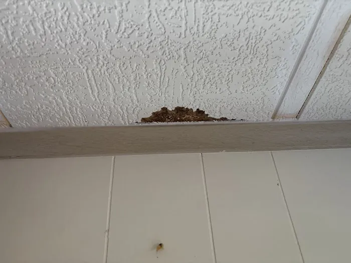 Alvin J. Singleton Roofing Picture 9