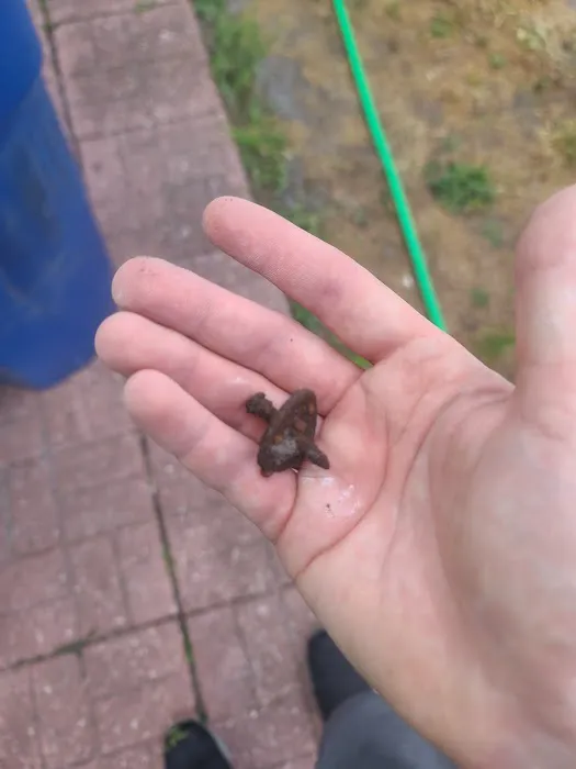 S.G. Roofing and Restoration Picture 6