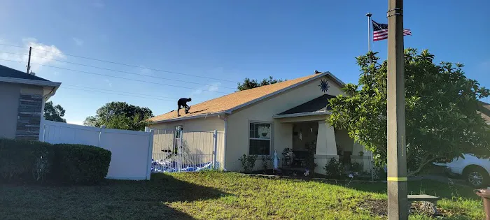 Green Alliance USA Picture 4