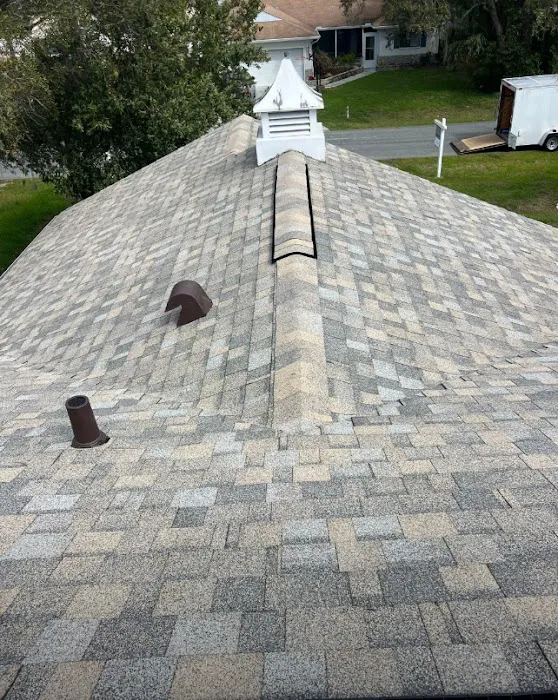 Creative Roofing Solution Picture 2