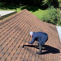 Mighty Dog Roofing of St Petersburg ico