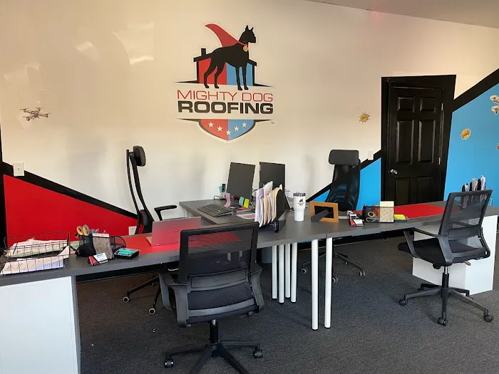 Mighty Dog Roofing of St Petersburg Picture 6