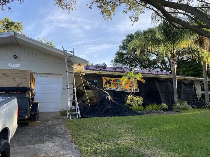 Mighty Dog Roofing of St Petersburg Picture 4