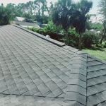 Wild Roofing