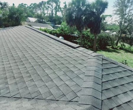 Wild Roofing