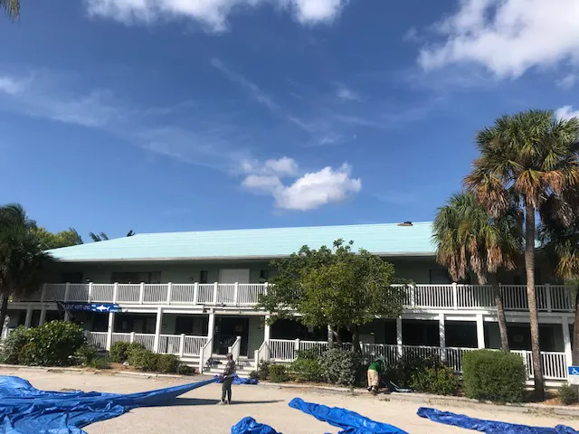 Wild Roofing Picture 3