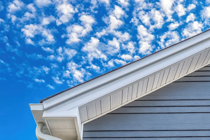 Master Soffit Repair Gutter Installation Picture 2