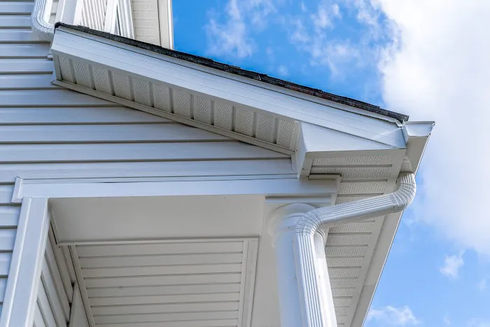 Master Soffit Repair Gutter Installation Picture 1