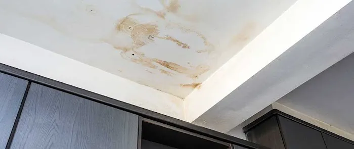 True Roofers Picture 2