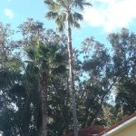 Robert Peet Roofing & Remodeling