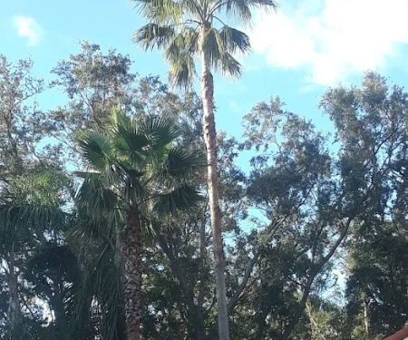 Robert Peet Roofing & Remodeling