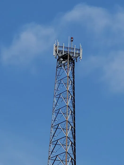 Cedar Cove Roofing LLC Picture 4