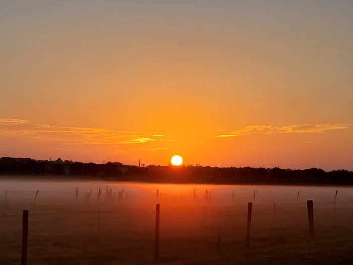 Roofing by Curry Picture 6