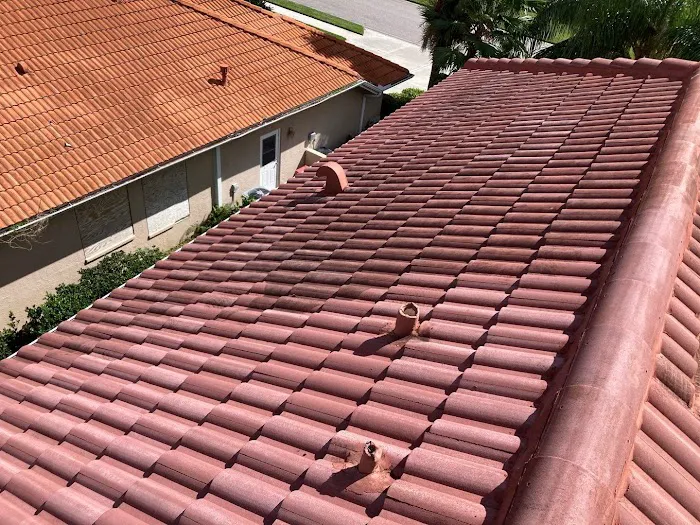 Red Dog's Roofing of Florida Picture 6