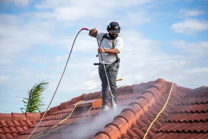 Red Dog's Roofing of Florida Picture 7