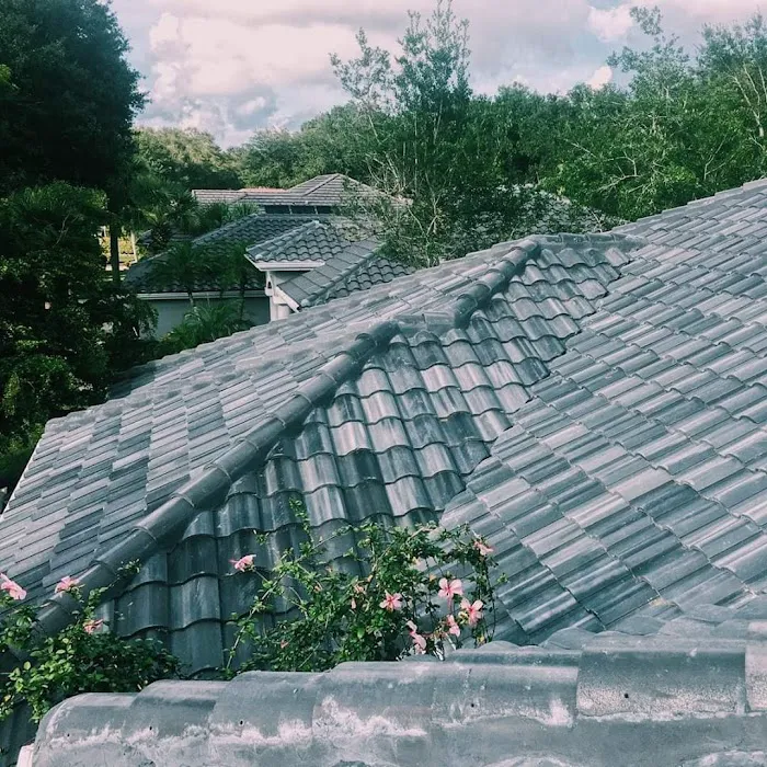 Red Dog's Roofing of Florida Picture 5