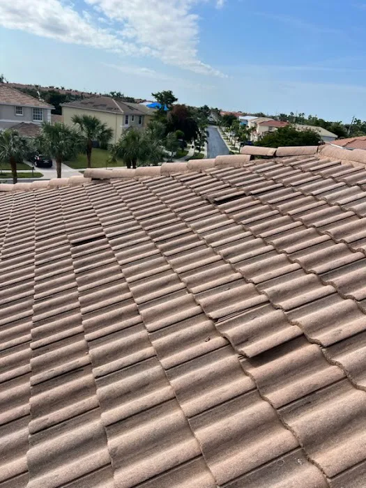 Revive Restoration Florida Picture 2