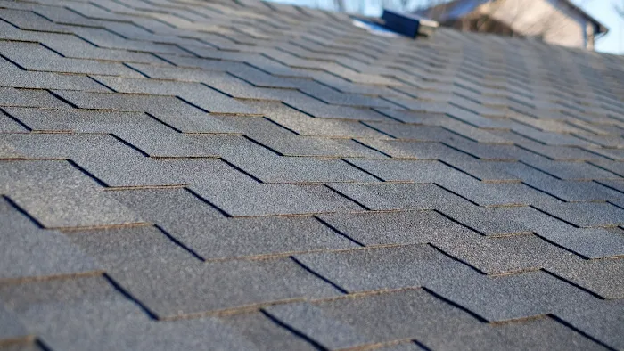 Duque Roofing Picture 8