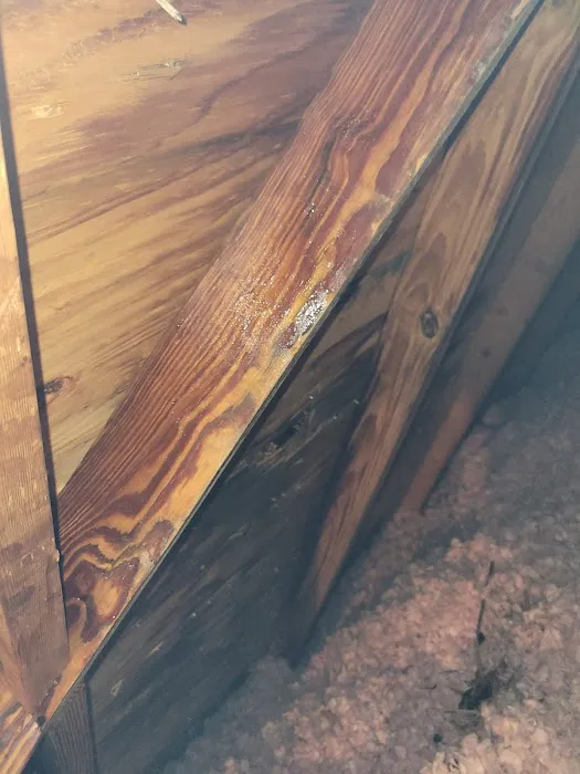 AAA Roofing Picture 5