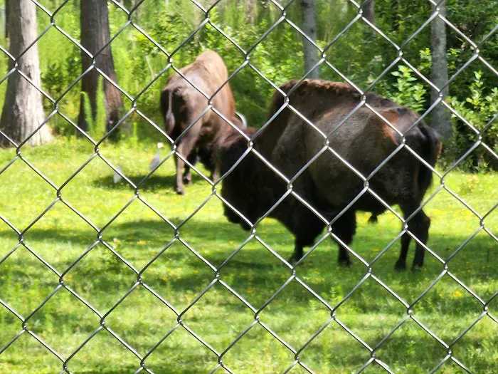 AAA Roofing Picture 3