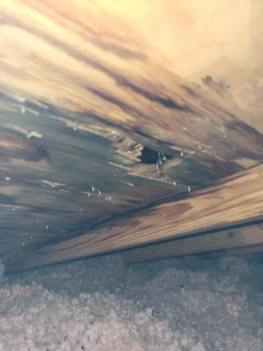 AAA Roofing Picture 4