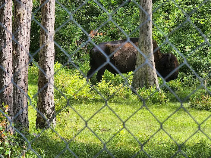 AAA Roofing Picture 7