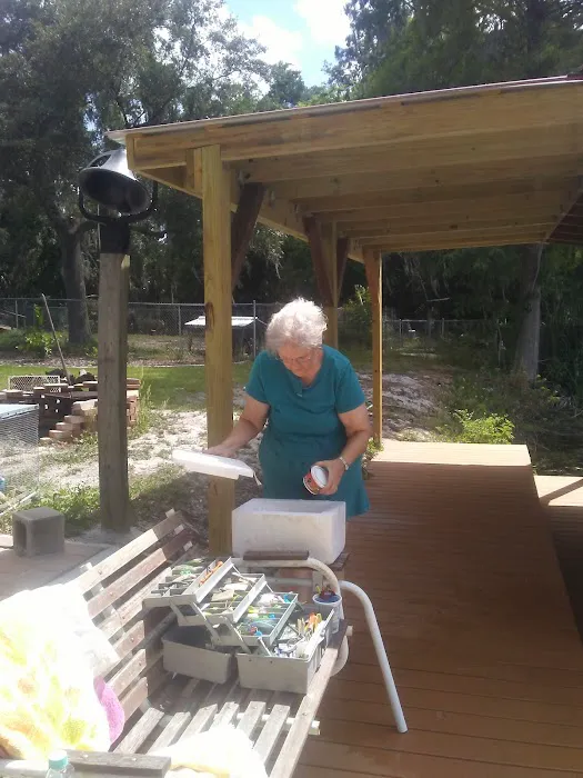 Walker Roofing of Clearwater Picture 5