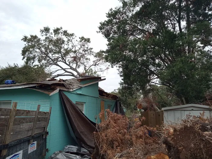 Keith The Roofer Picture 6