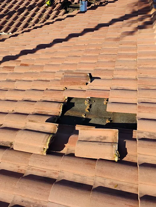 Keith The Roofer Picture 9