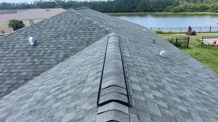 Blue Collar American Roofing LLC Picture 3