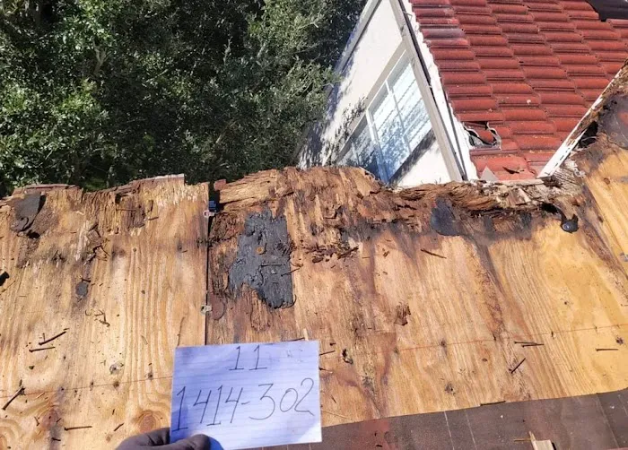 John Feeney Roofing Picture 9