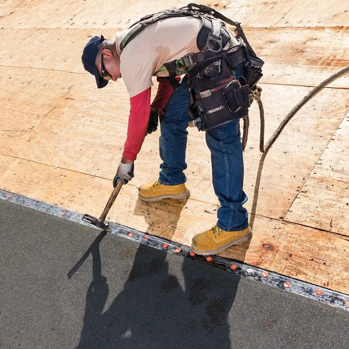 Roofing Sarasota Picture 7