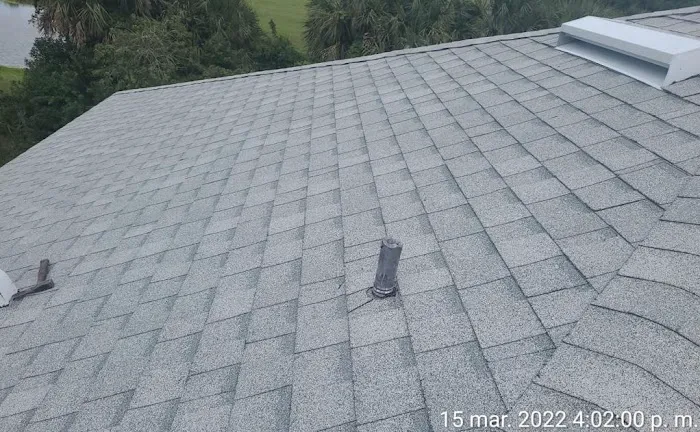 Top Dog Roofing Picture 1